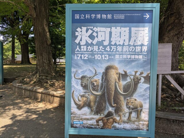 【希少】氷河時代の王者 大マンモス展 パンフレット 昭和レトロ 氷河時代の王者 大マンモス展 ソ連科学アカデミーコレクション / 古本