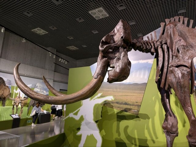 今って実は氷河時代なの？東京・上野「氷河期展」にマンモス
