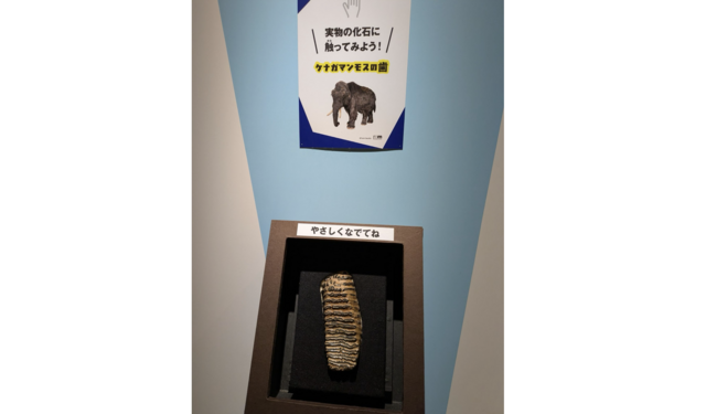 【希少】氷河時代の王者 大マンモス展 パンフレット 昭和レトロ 希少】氷河時代の王者 大マンモス展 パンフレット 昭和レトロ 特別展