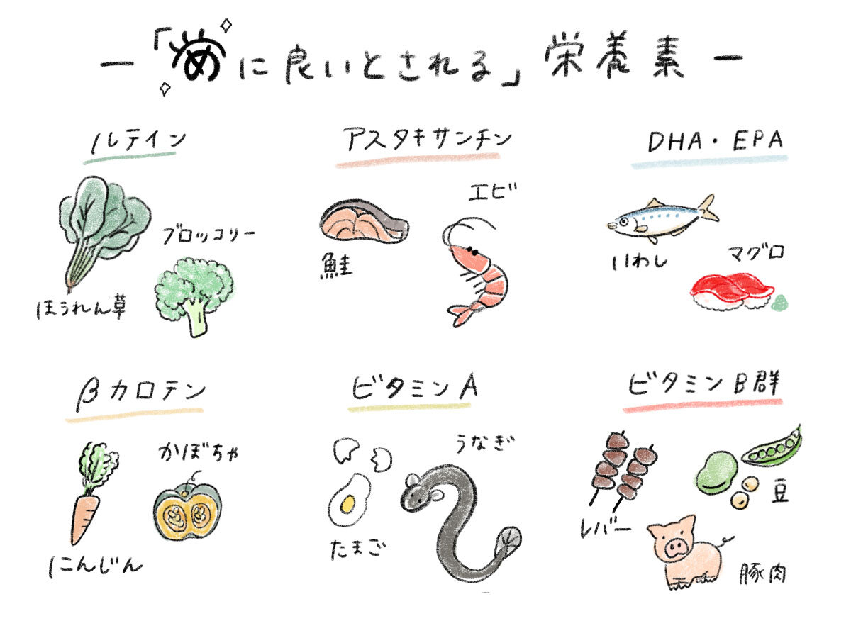 目に良いとされる栄養素の一覧