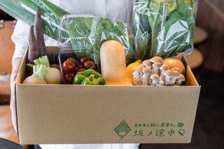季節の移り変わりを舌で感じる。「坂ノ途中」が展開する野菜のサブスクリプションサービス