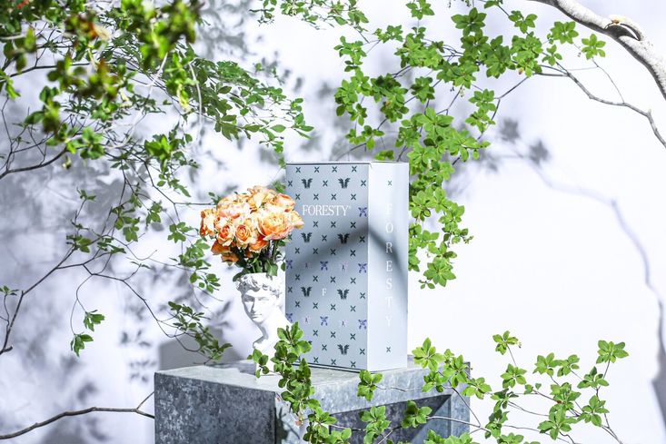 花を飾って、森をつくる。社会貢献ができる花の定期便「FORESTY」