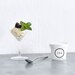 100パーセント植物性。ヘルシーかつハイプロテインなアイスクリーム「ZEN icecream」